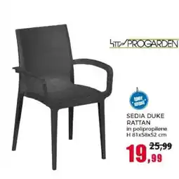 Happy Casa Progarden sedia duke rattan offerta