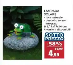 Happy Casa Lampada solare offerta