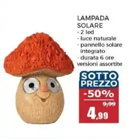 Happy Casa Lampada solare offerta