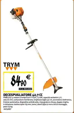Tecnomat Trym decespugliatore 42,7 cc offerta
