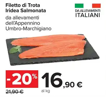 Carrefour Filetto di Trota Iridea Salmonata offerta