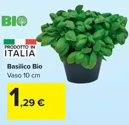 Carrefour Basilico Bio offerta