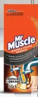 Carrefour Disgorgante Granulare Niagara Cucina Mr Muscle offerta
