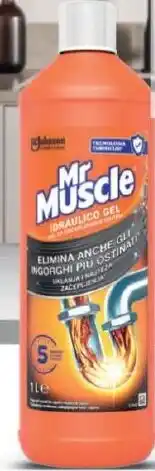 Carrefour Gel Idraulico Mr Muscle offerta