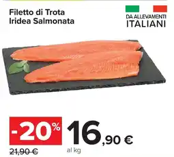 Carrefour Market Filetto di Trota Iridea Salmonata offerta