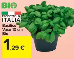 Carrefour Market Basilico Vaso 10 cm Bio offerta