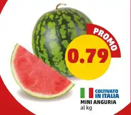 PENNY Mini anguria offerta