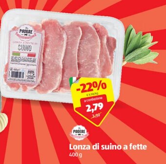 ALDI IL Podere Lonza di Suino a Fette 400 g offerta