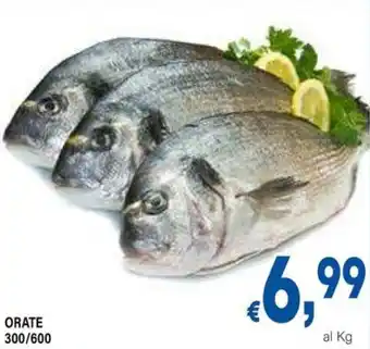 Orate 300/600