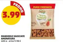 PENNY Mandorle sgusciate AMONATURA offerta