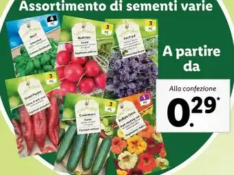 Assortimento di sementi varie