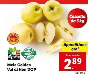Lidl Mele golden val di non dop offerta