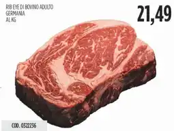 Carico Cash & Carry Rib eye di bovino adulto germania offerta
