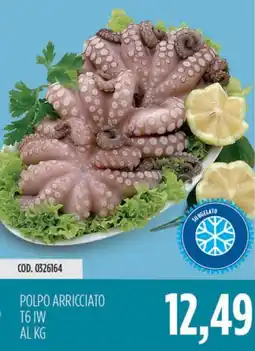Carico Cash & Carry Polpo arricciato t6 iw offerta