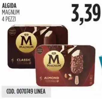 Carico Cash & Carry Algida magnum offerta