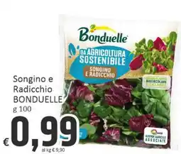 Paghi Poco Songino e Radicchio BONDUELLE offerta