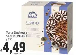 Paghi Poco Torta Duchessa SAMMONTANA offerta