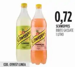 Carico Cash & Carry Schweppes bibite gassate offerta