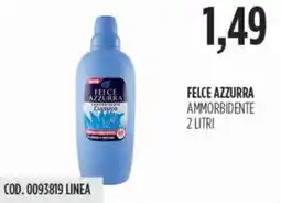 Carico Cash & Carry Felce azzurra ammorbidente offerta