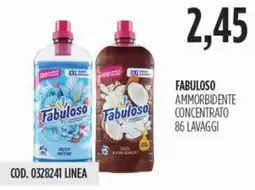 Carico Cash & Carry Fabuloso ammorbidente concentrato offerta