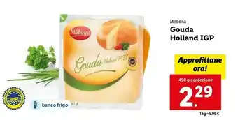 Lidl Gouda 450 g(ml) offerta