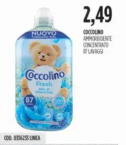 Carico Cash & Carry Coccolino ammorbidente concentrato offerta
