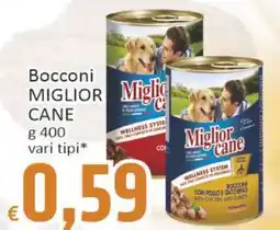 Paghi Poco Bocconi MIGLIOR CANE offerta