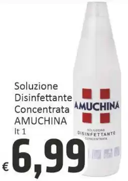 Paghi Poco Soluzione Disinfettante Concentrata AMUCHINA offerta