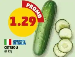 PENNY Cetrioli offerta