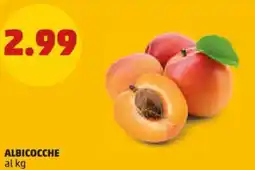 PENNY Albicocche offerta