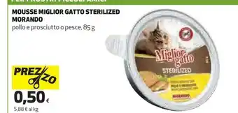 Ipercoop Cibo per gatti offerta