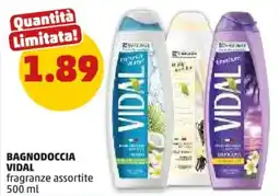 PENNY Bagnodoccia VIDAL offerta