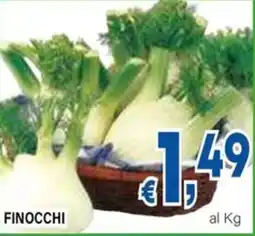 DEM Finocchi offerta