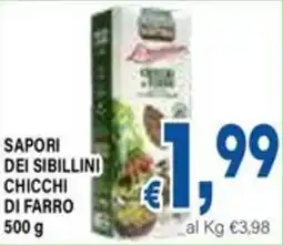DEM Sapori dei sibillini chicchi di farro offerta