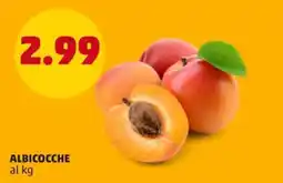PENNY Albicocche offerta