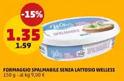 PENNY Formaggio spalmabile senza lattosio WELLESS offerta