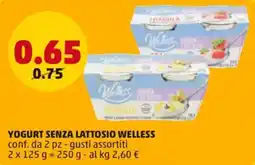 PENNY Yogurt senza lattosio WELLESS offerta