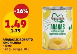 PENNY Ananas sciroppato AMONATURA offerta