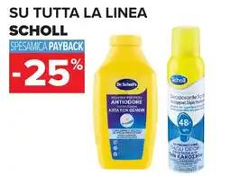 Carrefour Su tutta la linea SCHOLL offerta