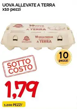 Hardis Uova allevate a terra offerta