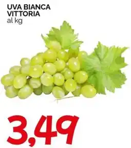 Hardis Uva bianca vittoria offerta