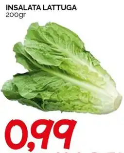 Hardis Insalata lattuga offerta