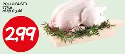 Hardis Pollo busto offerta