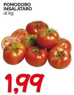 Hardis Pomodoro insalataro offerta