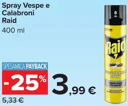 Carrefour Spray Vespe e Calabroni Raid offerta