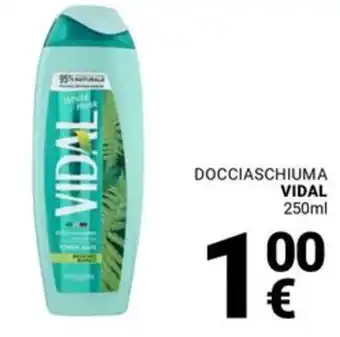 Supermercati Gulliver Docciaschiuma VIDAL offerta