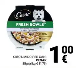 Supermercati Gulliver Cibo umido per cani CESAR offerta
