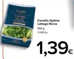 DEM Consilia Optima Lattuga Riccia offerta