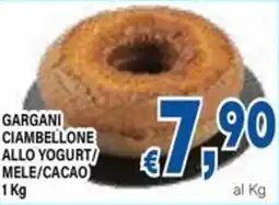 DEM Gargani ciambellone allo yogurt mele/cacao offerta