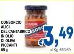 DEM Consorcio alici del cantabrico in olio di oliva piccanti offerta